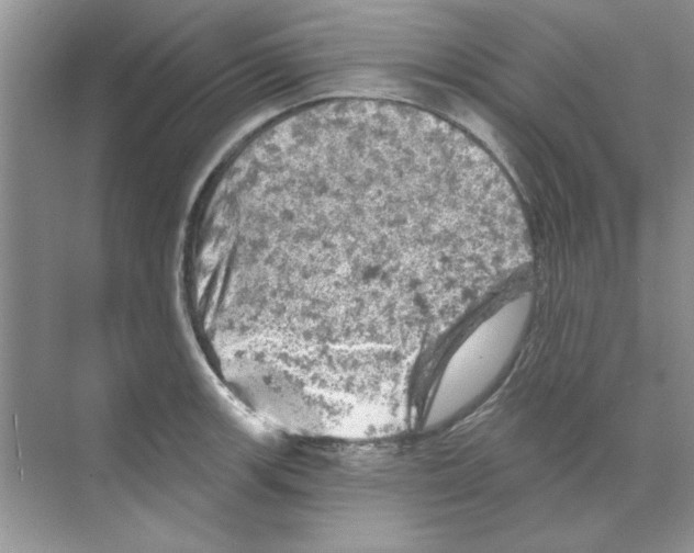 X0000068891139200606021912