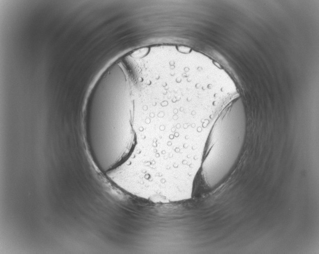 X0000068891140200606021912