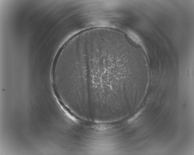 X0000068891141200606021912