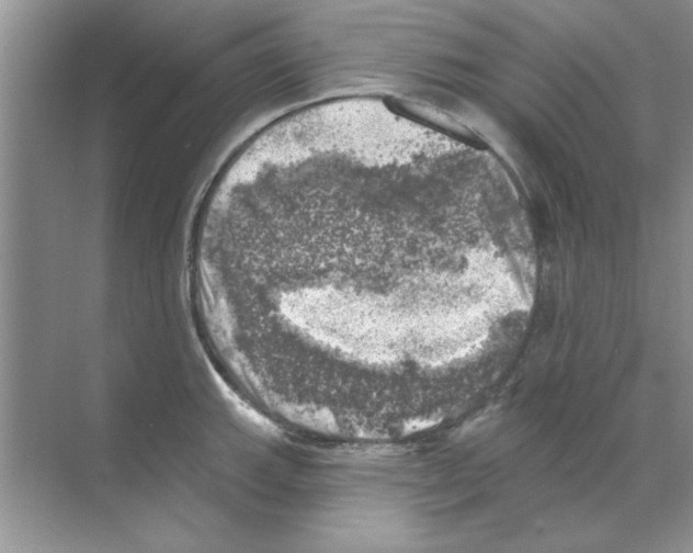 X0000068891143200606021913