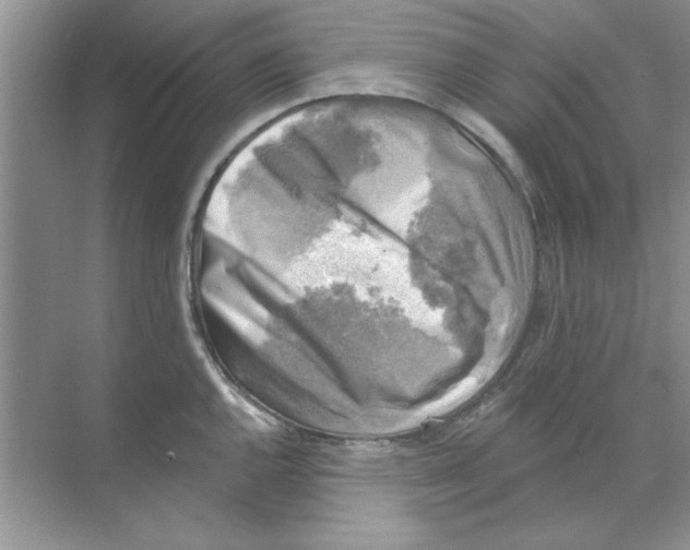 X0000068891144200606021913