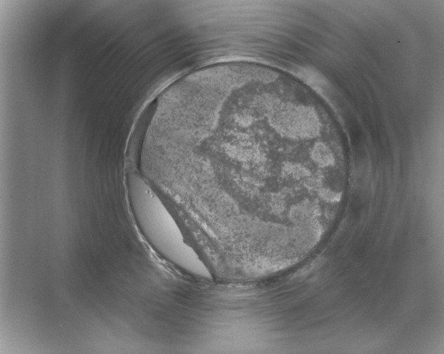 X0000068891145200606021913