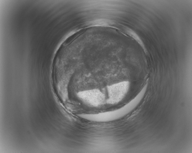 X0000068891146200606021913