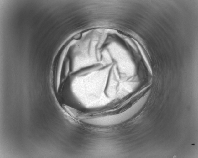 X0000068891147200606021913