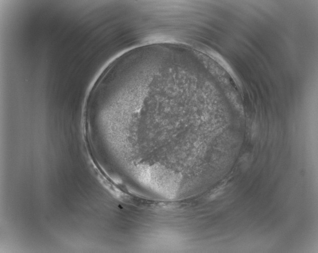 X0000068891148200606021913