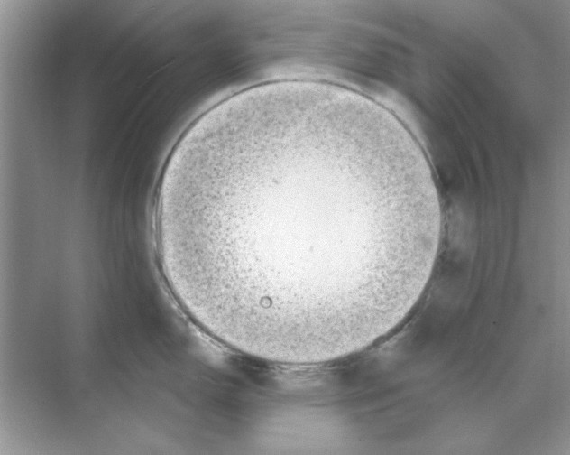 X0000068891150200606021913