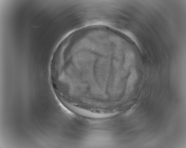 X0000068891151200606021913