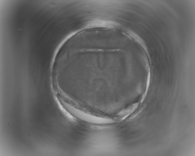 X0000068891152200606021913