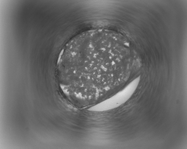 X0000068891153200606021912