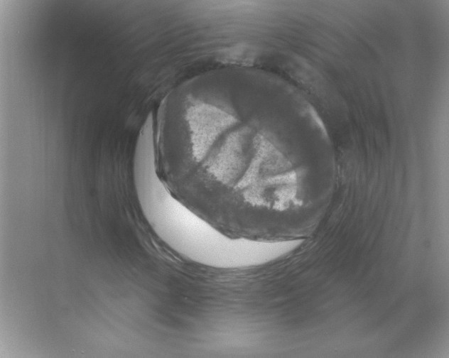 X0000068891154200606021912