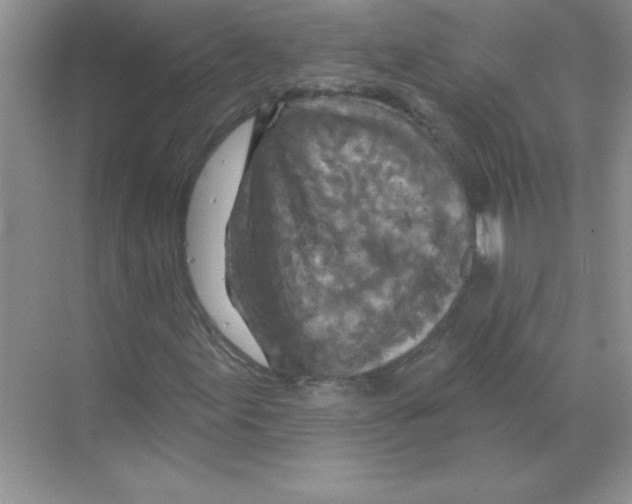 X0000068891155200606021912