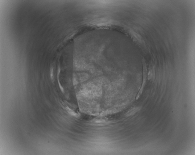 X0000068891156200606021912