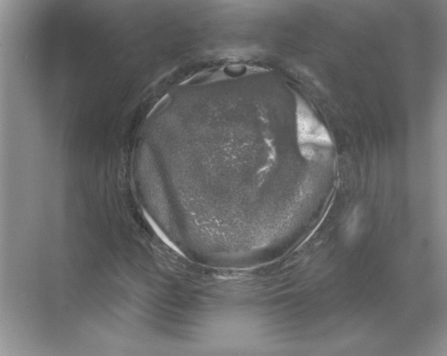 X0000068891158200606021912