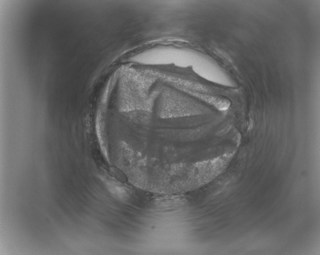 X0000068891159200606021912