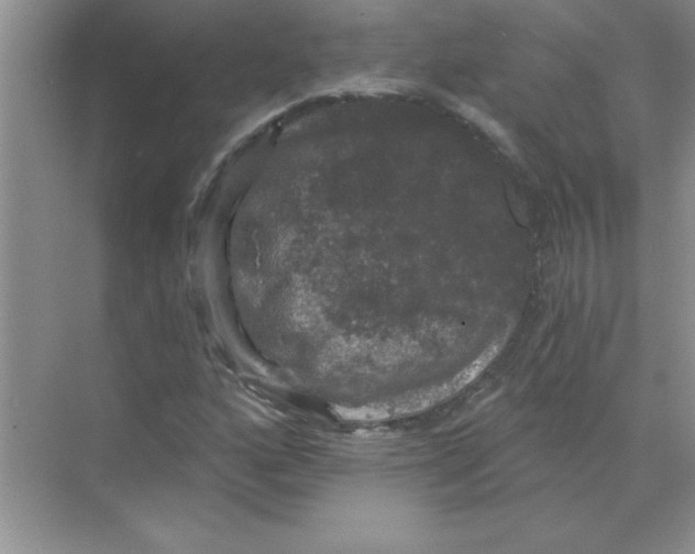 X0000068891160200606021912