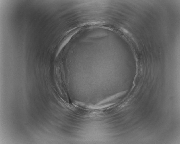 X0000068891161200606021912