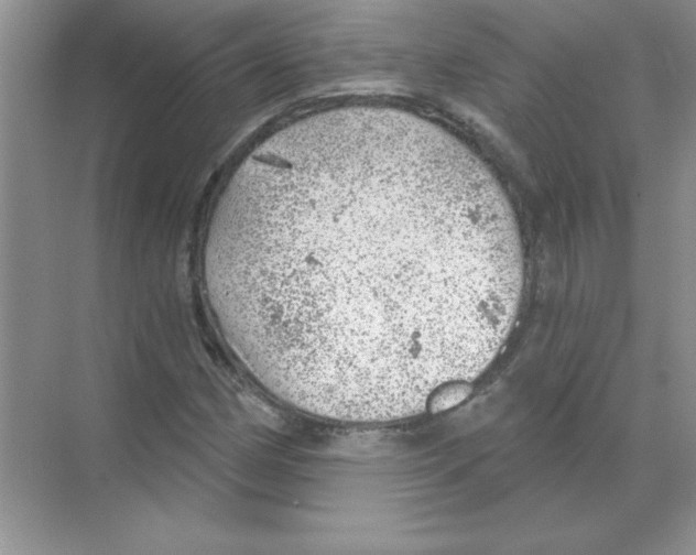 X0000068891162200606021912