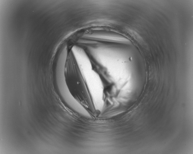 X0000068891164200606021912