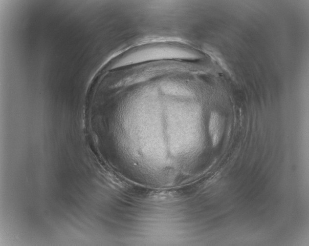 X0000068891165200606021912