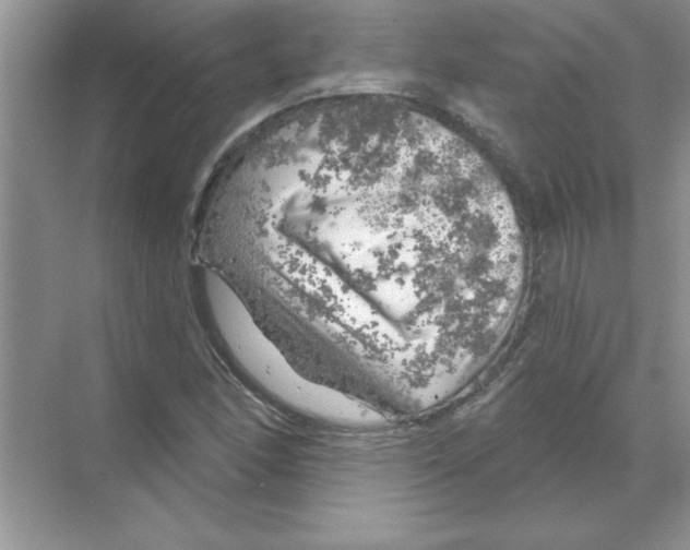 X0000068891166200606021912