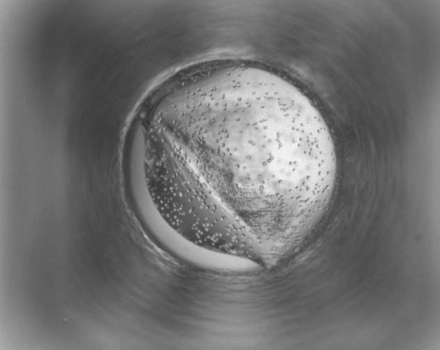 X0000068891168200606021912