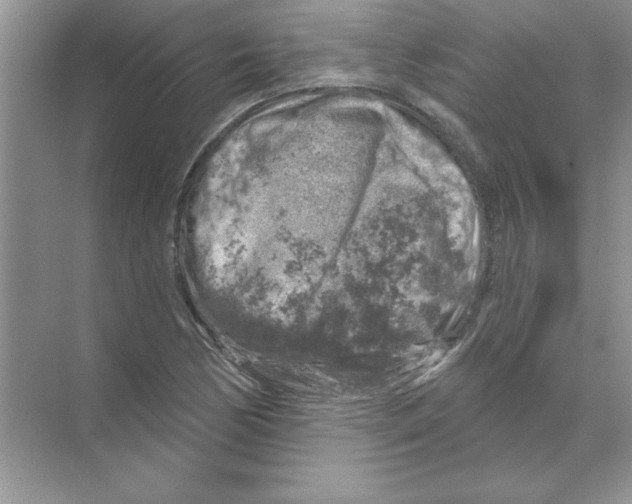 X0000068891170200606021912