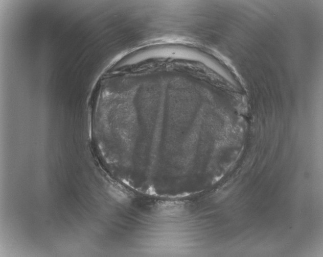 X0000068891171200606021912