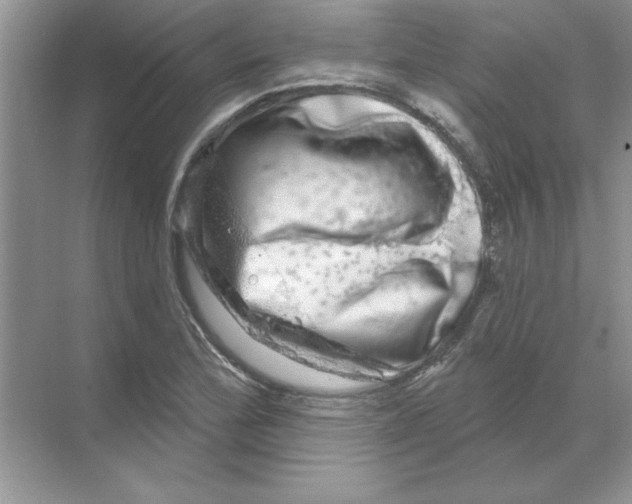 X0000068891172200606021912