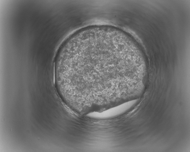 X0000068891175200606021911