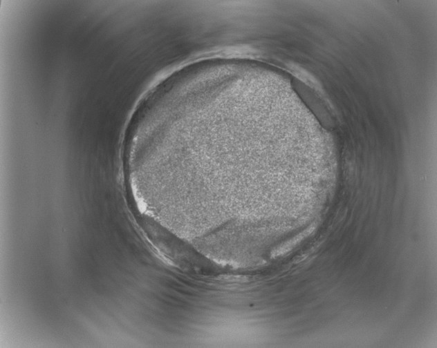 X0000068891176200606021911