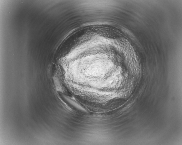 X0000068891177200606021911