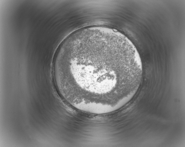 X0000068891178200606021911