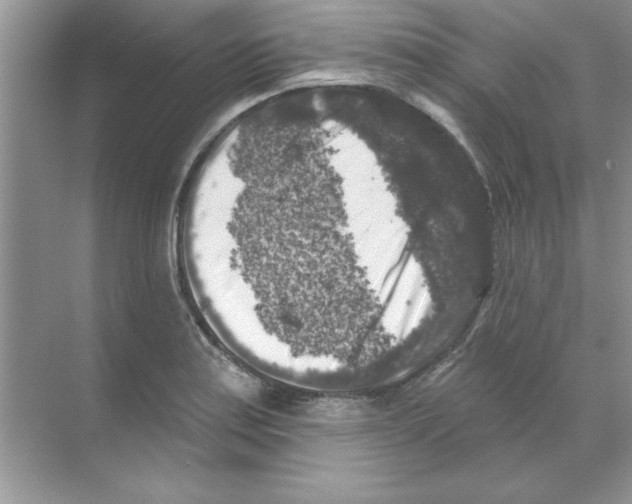 X0000068891179200606021911