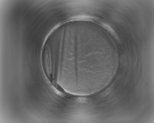 X0000068891180200606021911