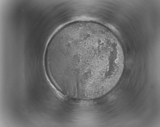 X0000068891183200606021911