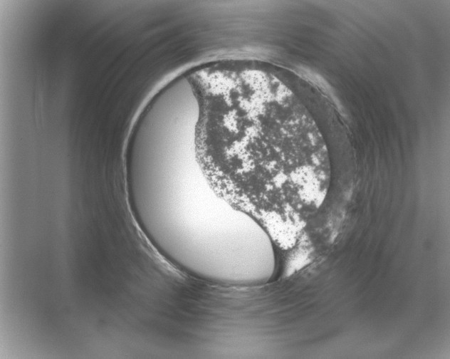 X0000068891184200606021911