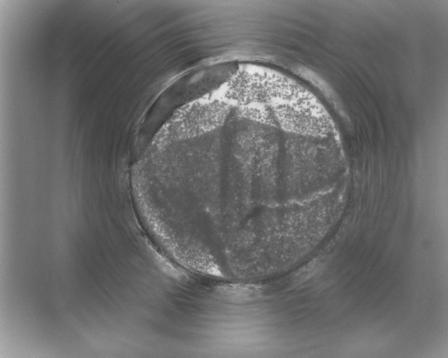 X0000068891185200606021911