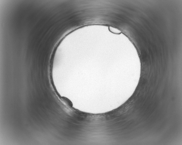 X0000068891187200606021911