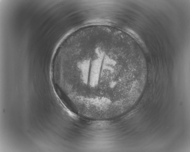 X0000068891188200606021911