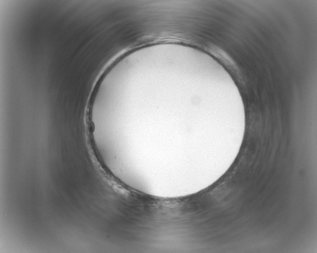 X0000068891190200606021911