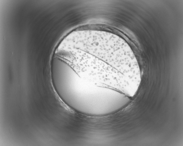 X0000068891192200606021911