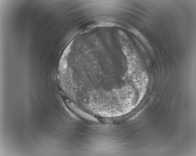 X0000068891193200606021911