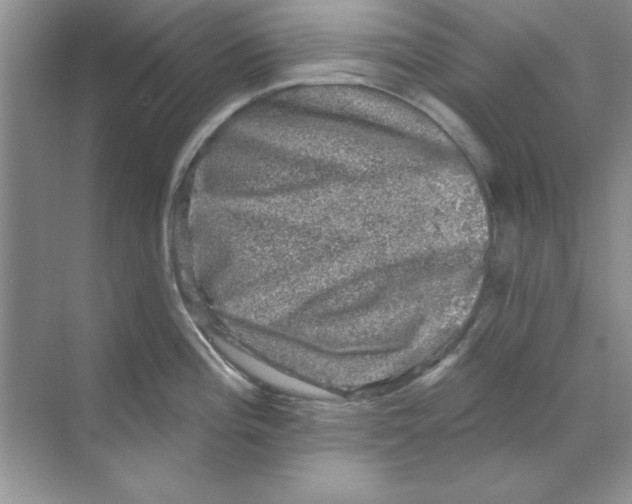 X0000068891196200606021911