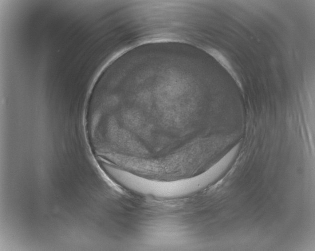 X0000068891197200606021911