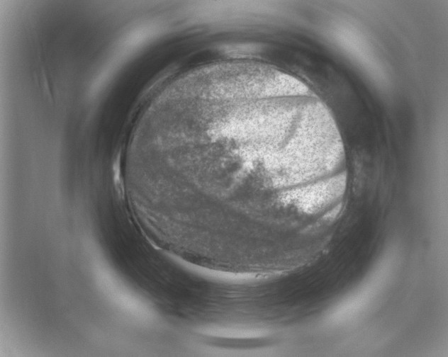 X0000068891198200606021911