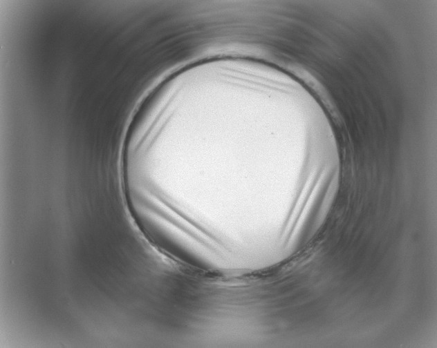 X0000068891199200606021911