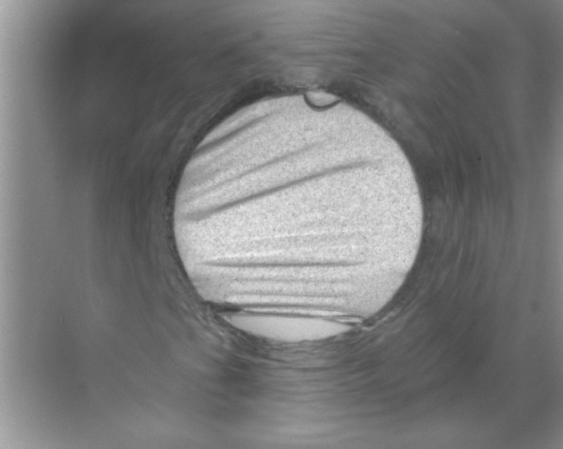 X0000068891201200606021910