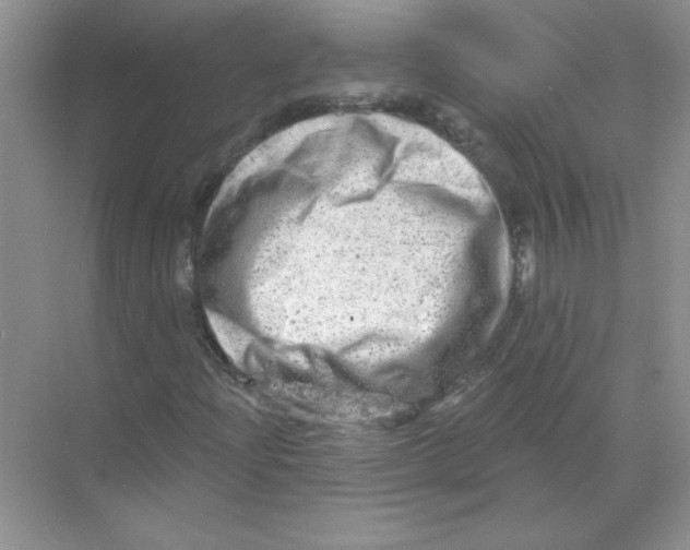 X0000068891204200606021910