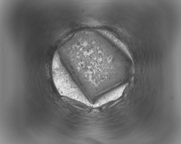 X0000068891205200606021910