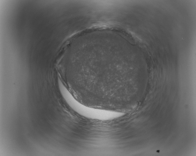 X0000068891206200606021910